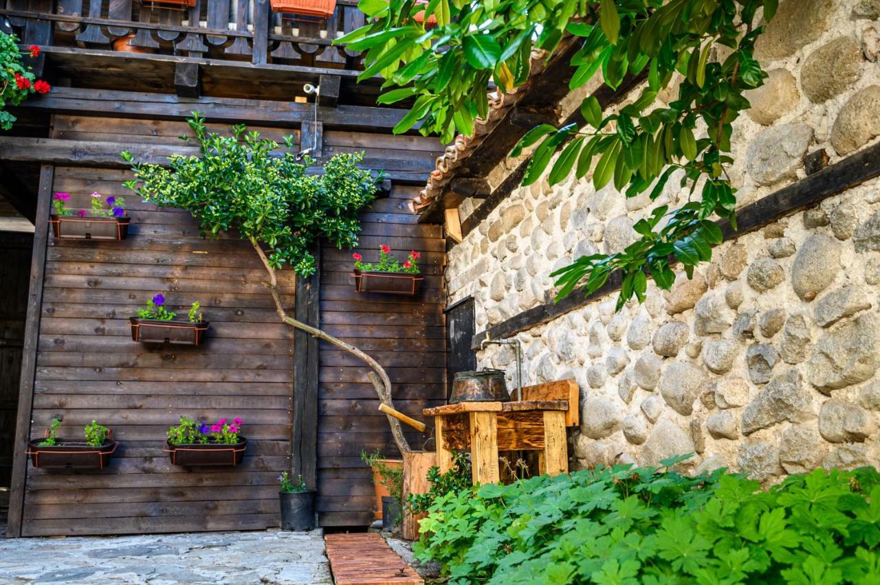 Banskovilla Zlateva House Luaran gambar